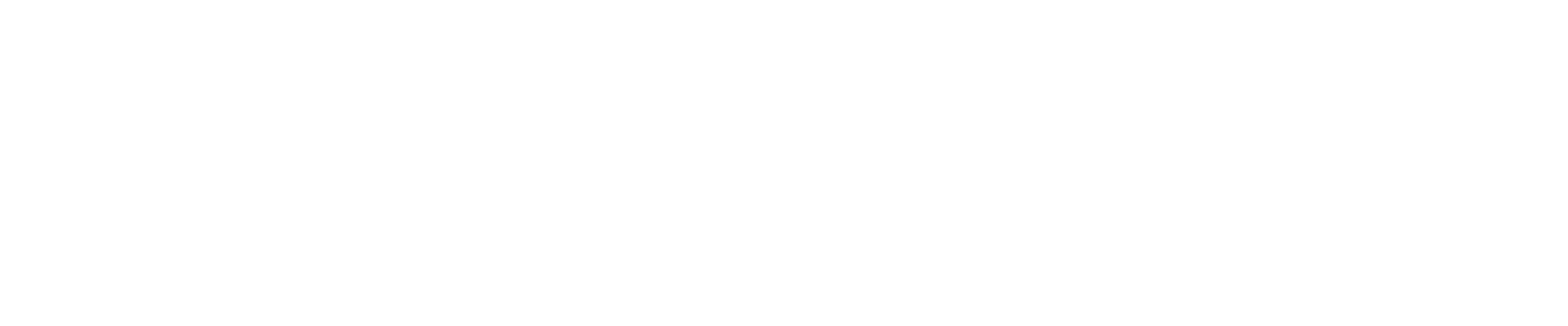 Seguros RP